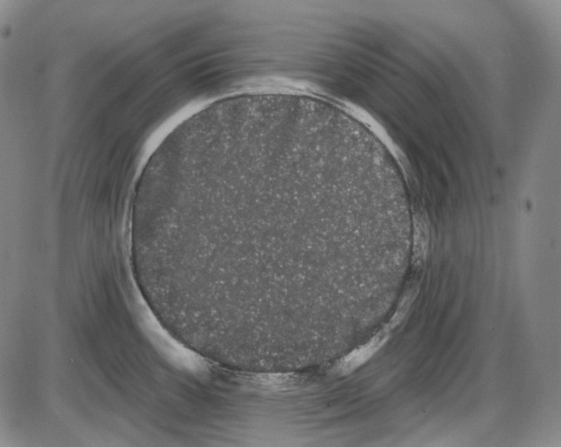 X0000085041387200704021242