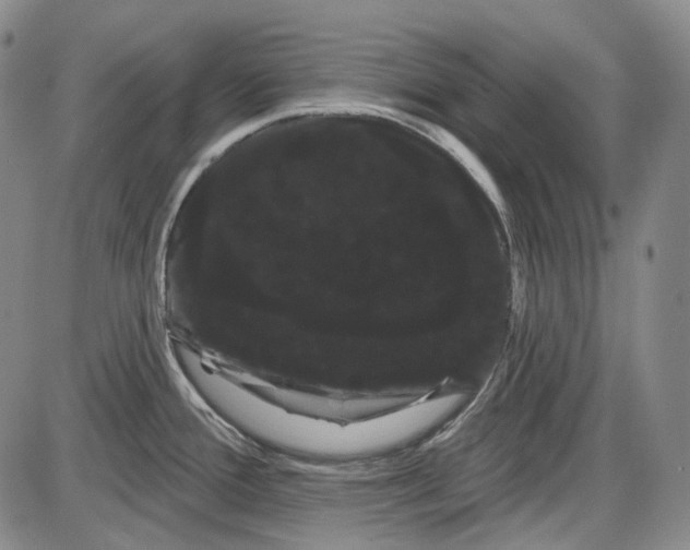 X0000085041388200704021242