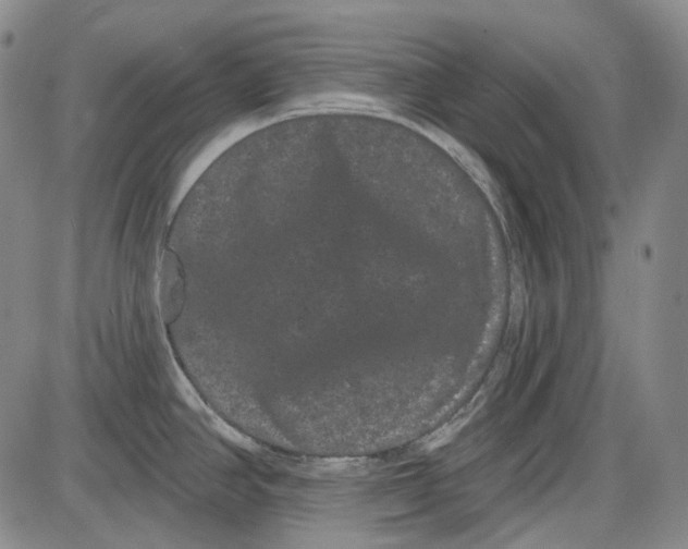 X0000085041390200704021242