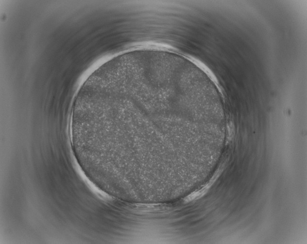 X0000085041391200704021242