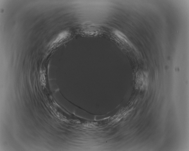 X0000085041394200704021242