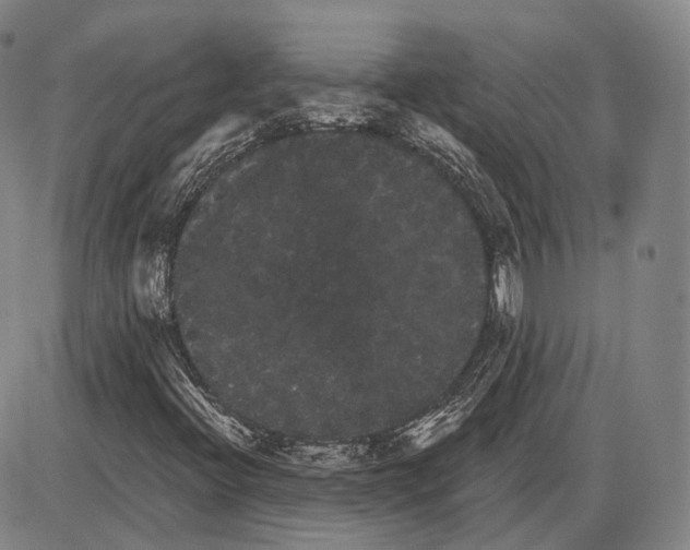 X0000085041396200704021242