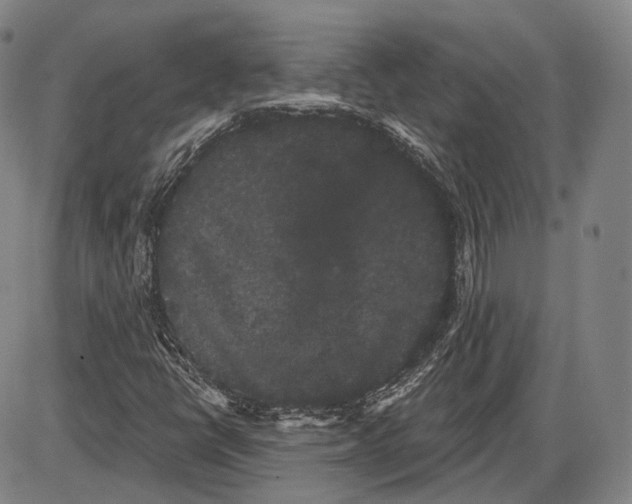X0000085041398200704021242