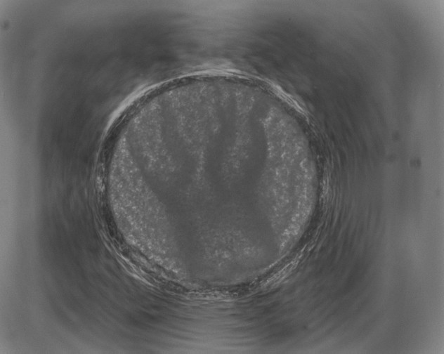 X0000085041400200704021242