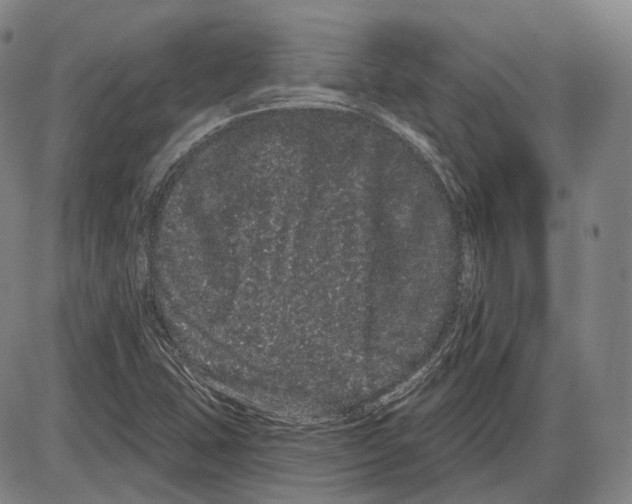 X0000085041407200704021242