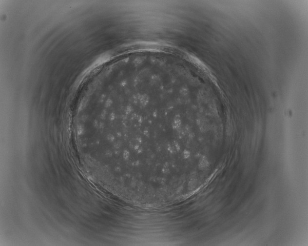 X0000085041411200704021242