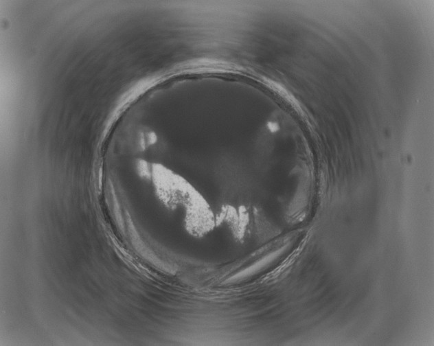X0000085041413200704021242
