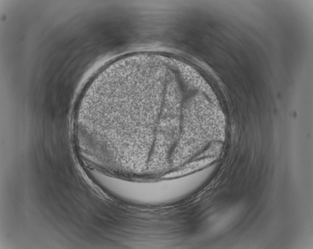 X0000085041416200704021242