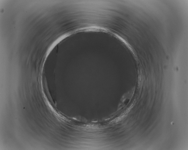 X0000085041418200704021242