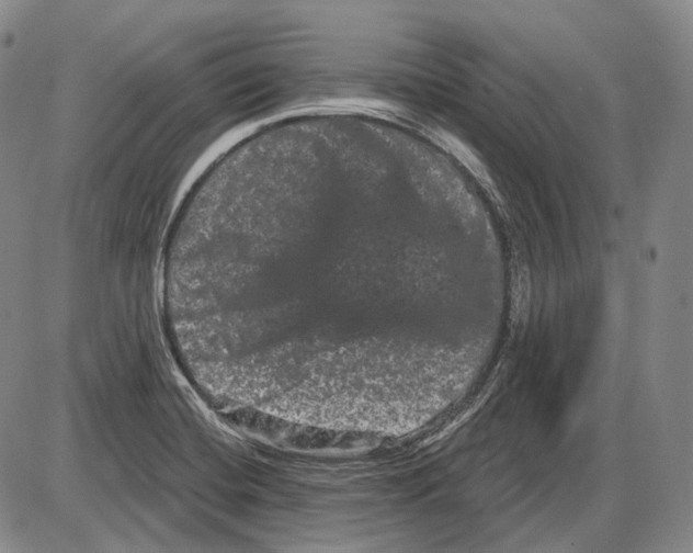 X0000085041420200704021242