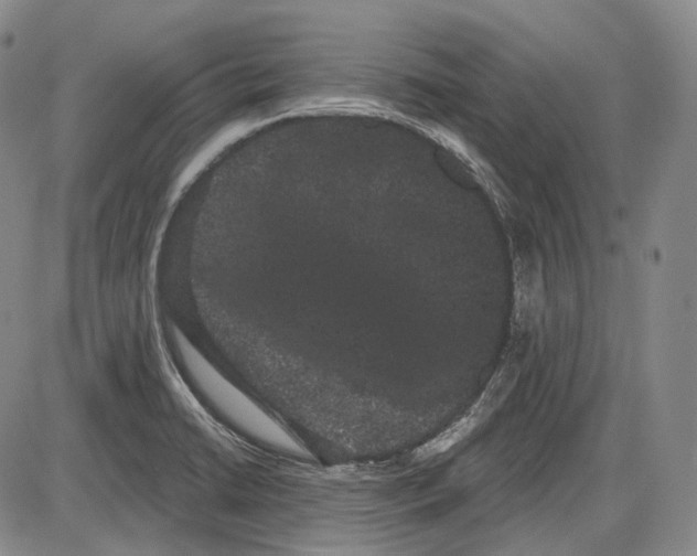 X0000085041422200704021242