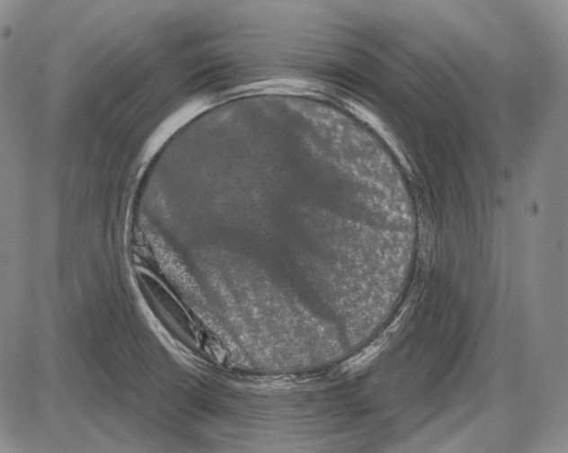 X0000085041426200704021242
