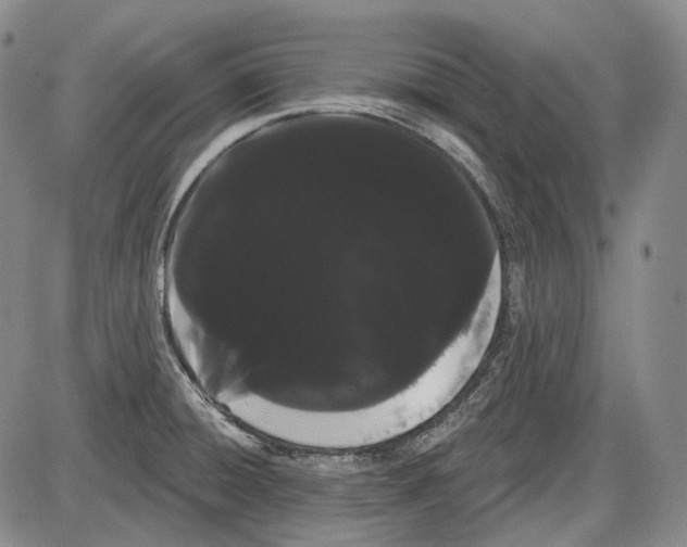 X0000085041428200704021242
