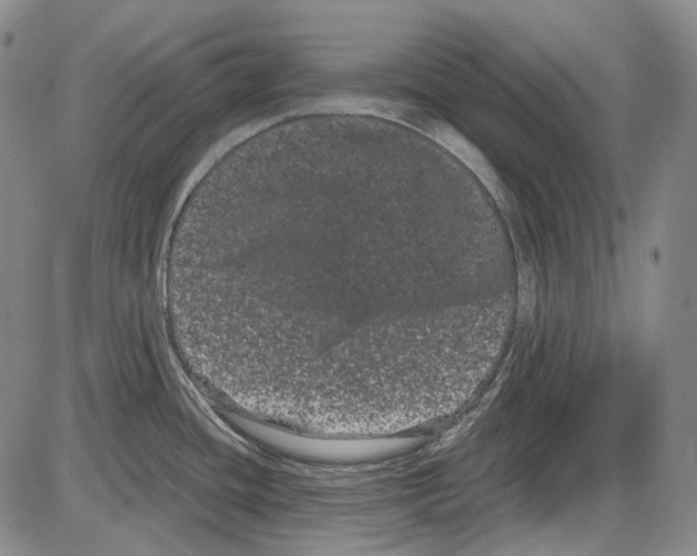 X0000085041436200704021242
