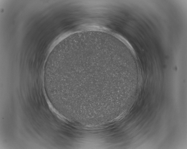 X0000085041439200704021242