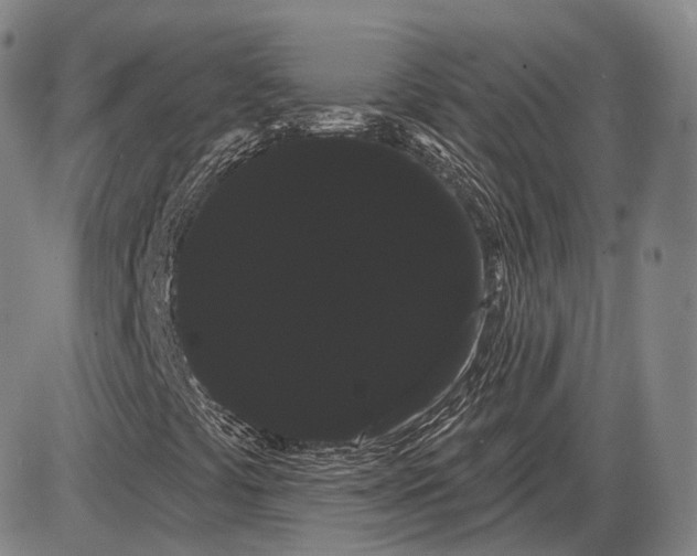 X0000085041441200704021241