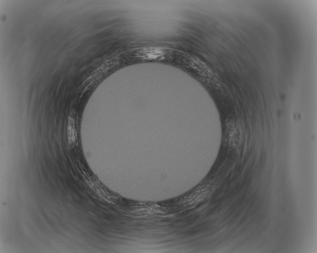 X0000085041442200704021241