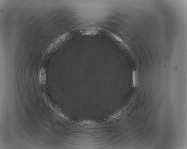X0000085041443200704021241