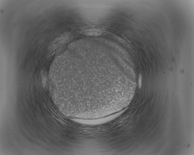 X0000085041444200704021241