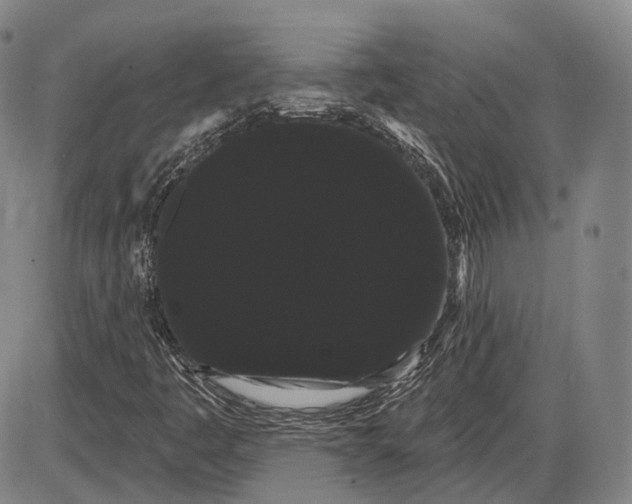 X0000085041445200704021241