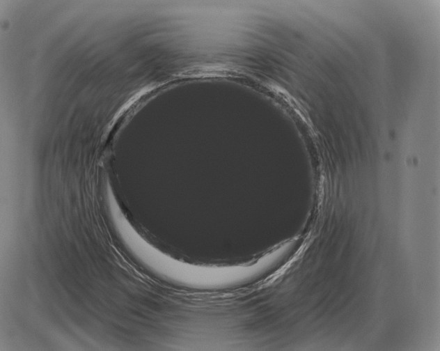 X0000085041449200704021241