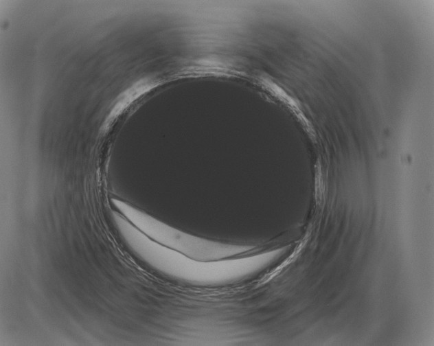 X0000085041453200704021241
