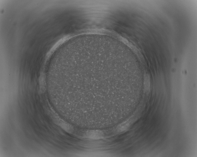 X0000085041454200704021241