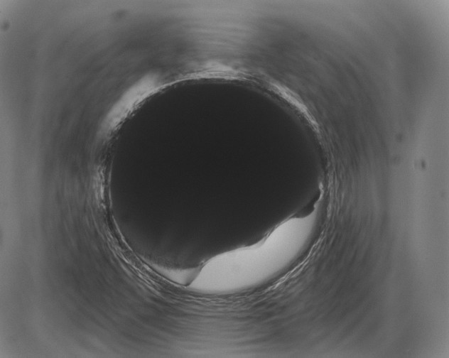X0000085041455200704021241
