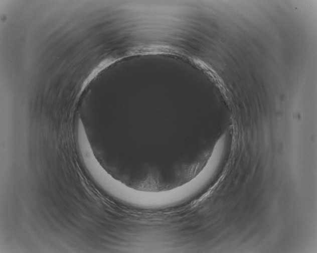 X0000085041457200704021241