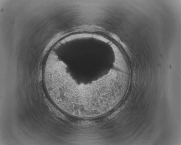 X0000085041459200704021241