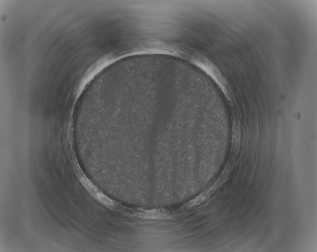 X0000085041460200704021241