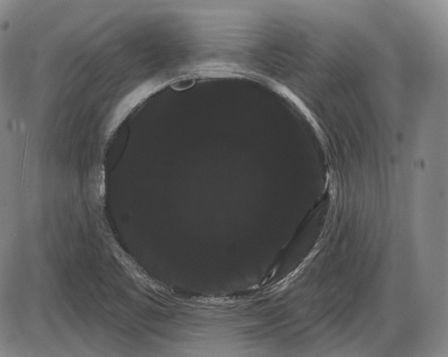 X0000085041461200704021241