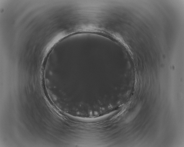 X0000085041463200704021241