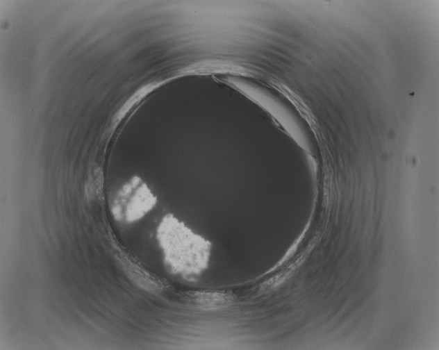 X0000085041465200704021241