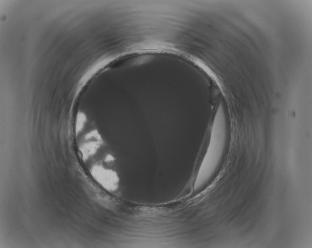 X0000085041469200704021241