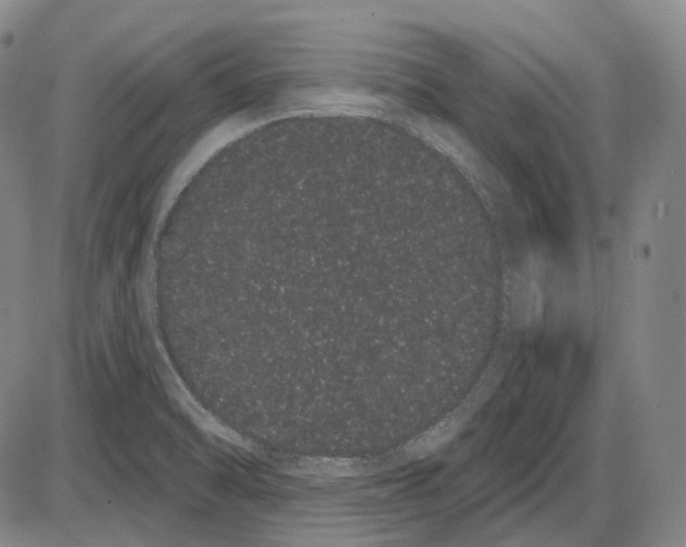 X0000085041470200704021241