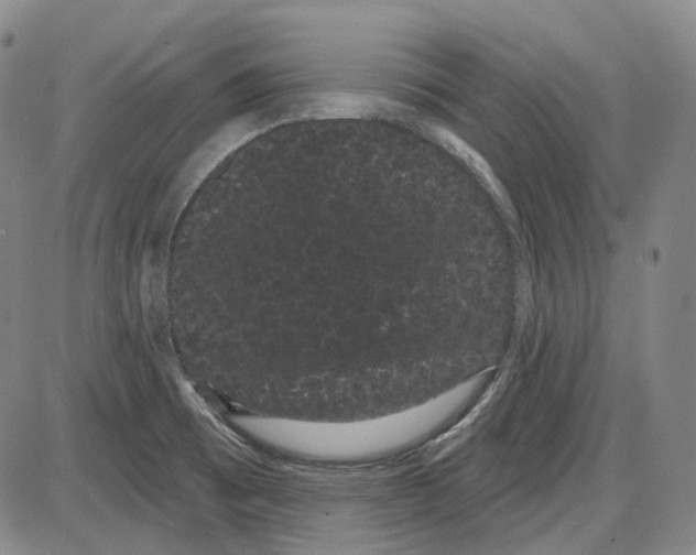 X0000085041473200704021241