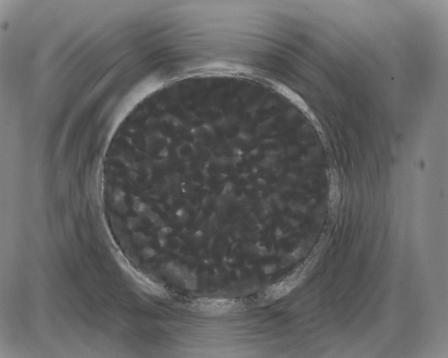 X0000085041474200704021241
