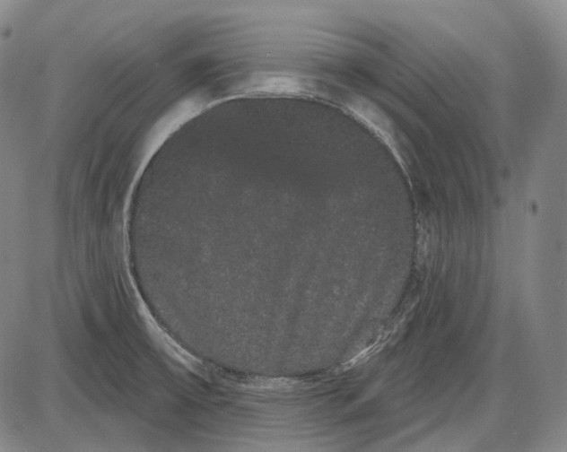 X0000085041475200704021241