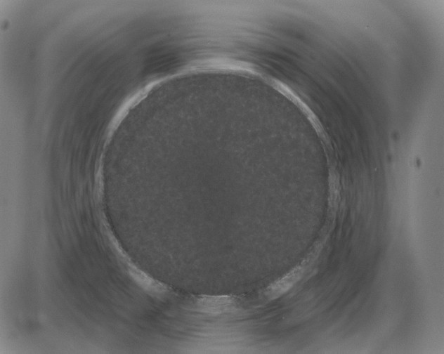 X0000085041477200704021241