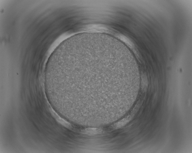 X0000085041478200704021241