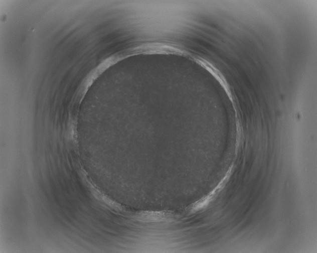 X0000085041481200704021241