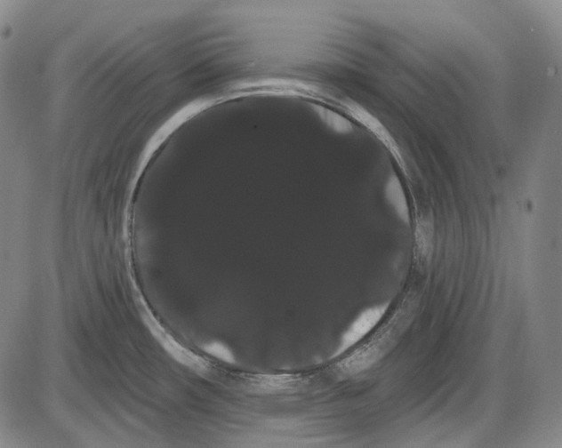 X0000085041482200704021241