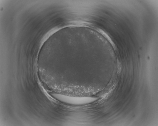 X0000085041485200704021241