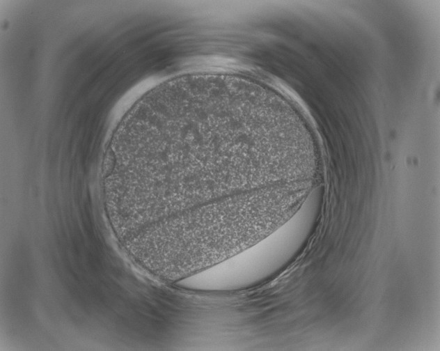 X0000085041488200704021241