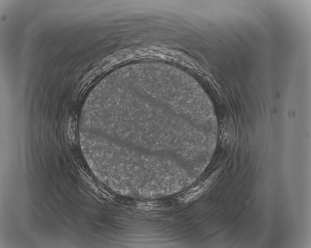 X0000085041490200704021240