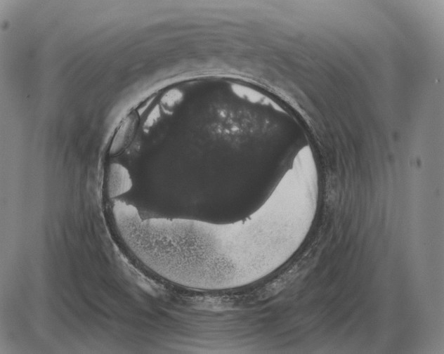 X0000085041508200704021240