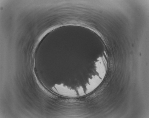 X0000085041515200704021240