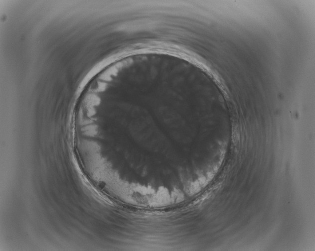 X0000085041522200704021240