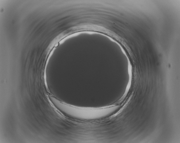 X0000085041529200704021241